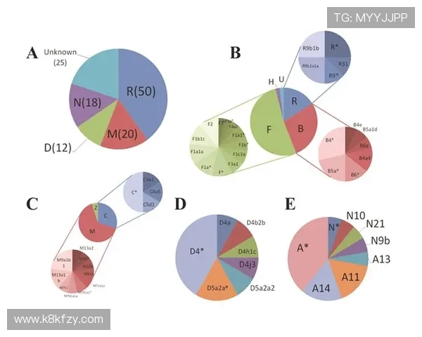 PAP德州常见问题解答,解决玩家在游戏中遇到的各种疑难与操作困扰